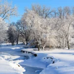 Snowhiter: Complete Guide to Its Meaning Cultural Evolution and Digital Influence