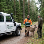 Viltnemnda: Norway Local Guardians of Wildlife Management